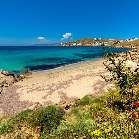 Amorous Luxury Villa Agios Ioannis Diakoftis Exterior foto